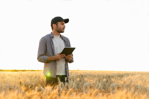 istock Farmer with digital tablet on an agricultural field. 1473248735