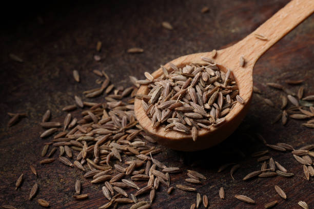 kreuzkümmel pulver und samen - caraway seed stock-fotos und bilder