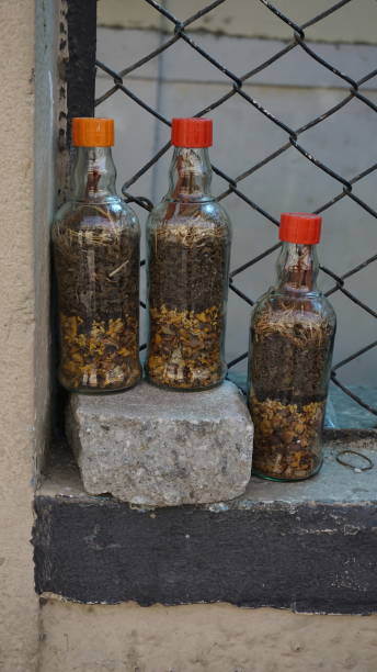 bangalore,karnataka,india-january 01 2023: indian dried ayurvedic herbs to reduce hairfall - india bangalore flower business imagens e fotografias de stock