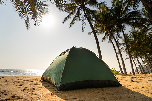 Tent on the beach with coconut tree on the background