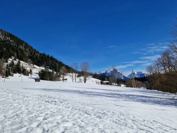 istock Heutal near Unken in wintertime 1473256451