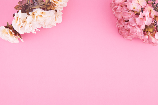 Spring Flowers Over Pink Background