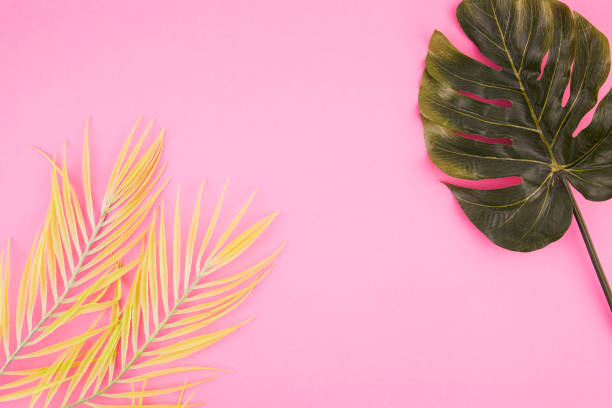istock Plant Leaves On Pink Background 1473256962