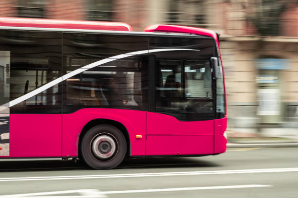 Pink city bus in motion