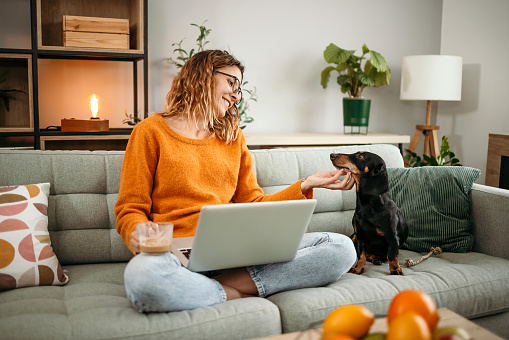 Young girl with her dachshund dog sitting on a sofa indoors, working on a laptop