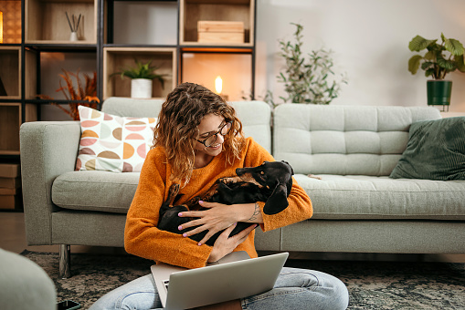 Young woman sitting on the floor trying to work on computer and playing with her dachshund dog