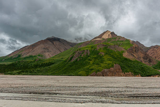 The Mountains of Denali National park rise in the distance against a beautiful landscape.