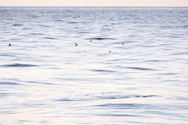 istock Sea waves. Sun glare in the waves. 1473267665