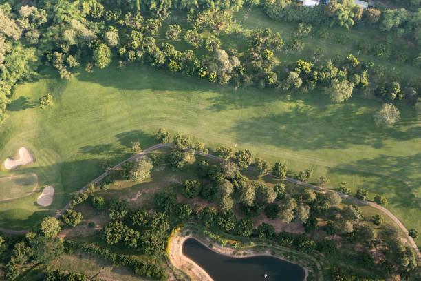 istock Landscape in golf course in aerial view. 1473269874