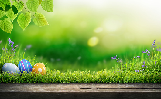 Three painted easter eggs celebrating a Happy Easter on a spring day with a green grass meadow, tree leaves and a background with copy space and a rustic woodern bench to display products.