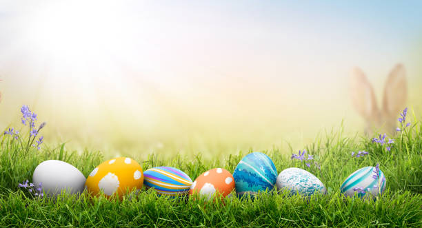 istock A collection of painted easter eggs celebrating a Happy Easter on a spring day with green grass meadow background with copy space. 1473272567
