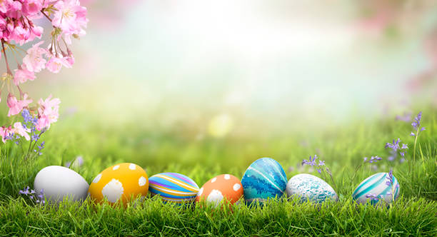 istock A collection of painted easter eggs celebrating a Happy Easter on a spring day with green grass meadow background with copy space. 1473272570