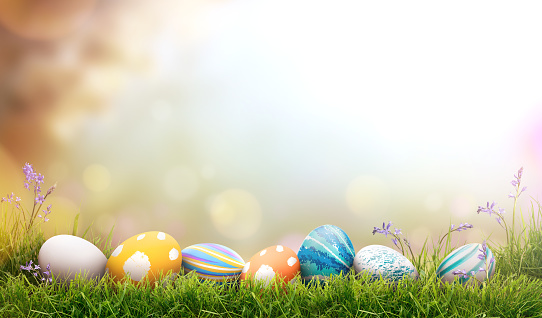 Una colección de huevos de pascua pintados que celebran una Feliz Pascua en un día de primavera con fondo de pradera de hierba verde con espacio de copia. photo