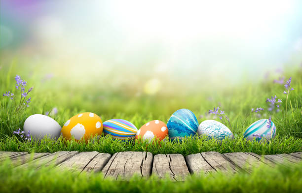 istock A collection of painted easter eggs celebrating a Happy Easter on a spring day with green grass meadow background with copy space and a rustic woodern bench to display products. 1473272865