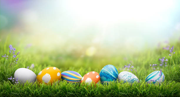 istock A collection of painted easter eggs celebrating a Happy Easter on a spring day with green grass meadow background with copy space. 1473272871