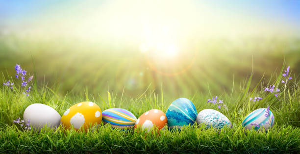 istock A collection of painted easter eggs celebrating a Happy Easter on a spring day with green grass meadow background with copy space. 1473273368