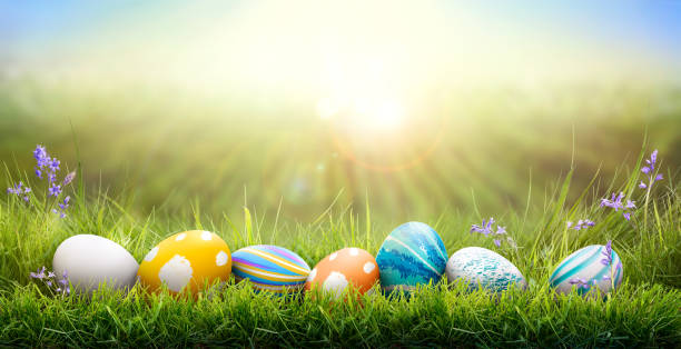 a collection of painted easter eggs celebrating a happy easter on a spring day with green grass meadow background with copy space. - easter egg easter grass spring imagens e fotografias de stock