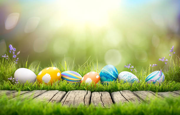 istock A collection of painted easter eggs celebrating a Happy Easter on a spring day with green grass meadow background with copy space and a rustic woodern bench to display products. 1473273369