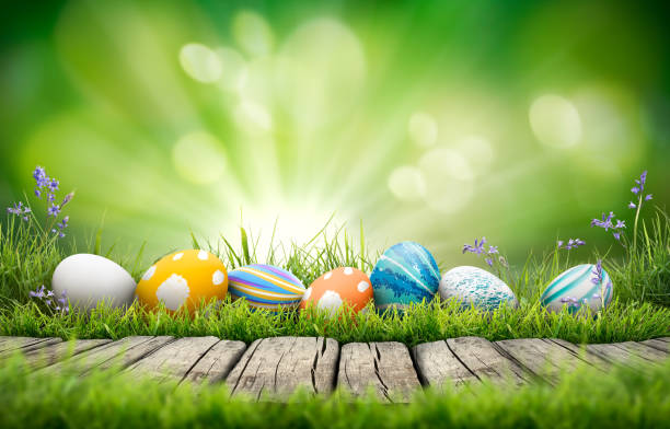 istock A collection of painted easter eggs celebrating a Happy Easter on a spring day with green grass meadow background with copy space and a rustic woodern bench to display products. 1473273372