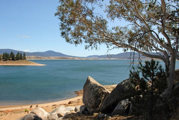 istock Lake Jindabyne with a tree and rocks, Australia 1473274248