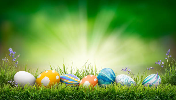 istock A collection of painted easter eggs celebrating a Happy Easter on a spring day with green grass meadow background with copy space. 1473274644