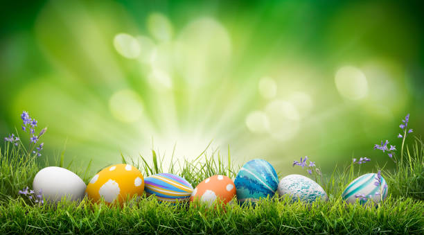 istock A collection of painted easter eggs celebrating a Happy Easter on a spring day with green grass meadow background with copy space. 1473274646