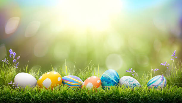 istock A collection of painted easter eggs celebrating a Happy Easter on a spring day with green grass meadow background with copy space. 1473274647