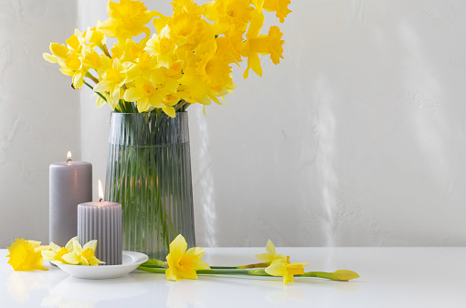 yellow spring daffodils in glass vase with burning candles  on white background