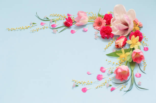 istock beautiful spring flowers on blue background 1473278030
