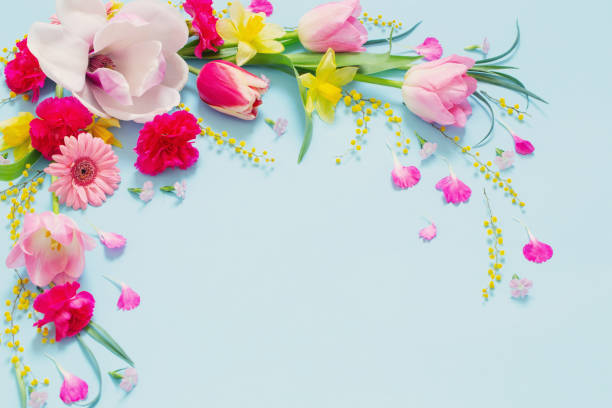 istock beautiful spring flowers on blue background 1473278040