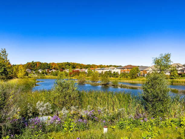 istock Davos Pond at Vellore Village community, Vaughan, Canada 1473283769