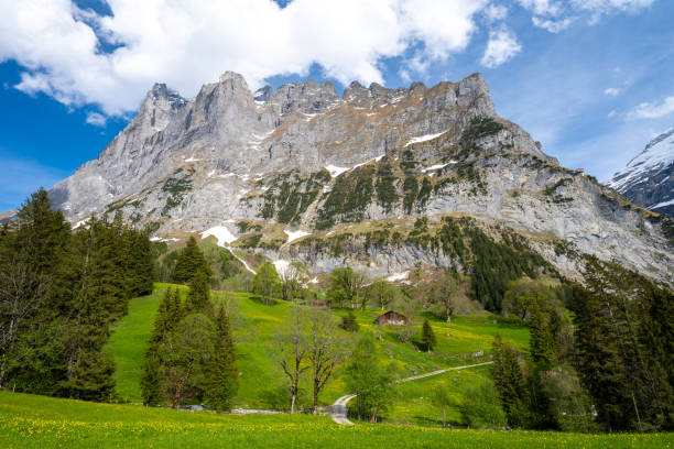 istock Alps in Grindelwald village in Switzerland 1473286533