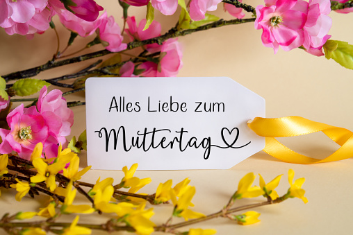 Spring Flower Arrangement With White Label With German Text Alles Liebe Zum Muttertag Means Happy Mothers Day. Colorful Flower Branch Decoration With Yellow And Purple Blossoms.