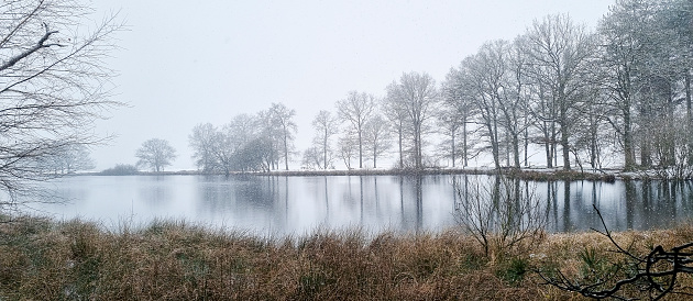 Winter in the Dwingelderveld. The Dwingelderveld is a nature reserve in the Dutch province of Drenthe