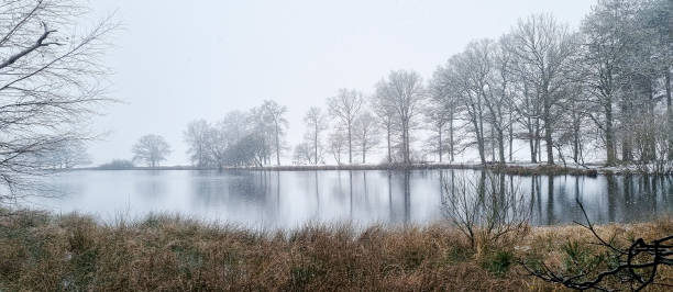 Winter in the Dwingelderveld stock photo