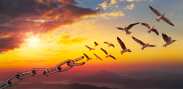 istock World freedom day concept, Bird flying and broken chains at sky sunset background 1473295678