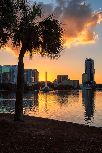 Orlando city skyline at sunset in Lake Eola Park with fountain and cityscape, Florida, USA.