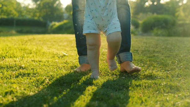 Walking children's bare feet on a green lawn close-up. Child learns to take the first steps on the grass. Baby learns to walk with the help of his mother on a green grass in the park. stock photo