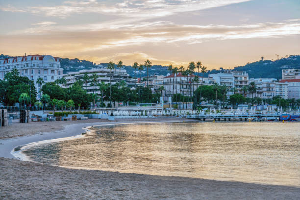 Early at morning  view on Croisette, tall palm trees alley,  Pink-yellow sky at sunset in summer Cannes..Some tower on hill and crane - machinery