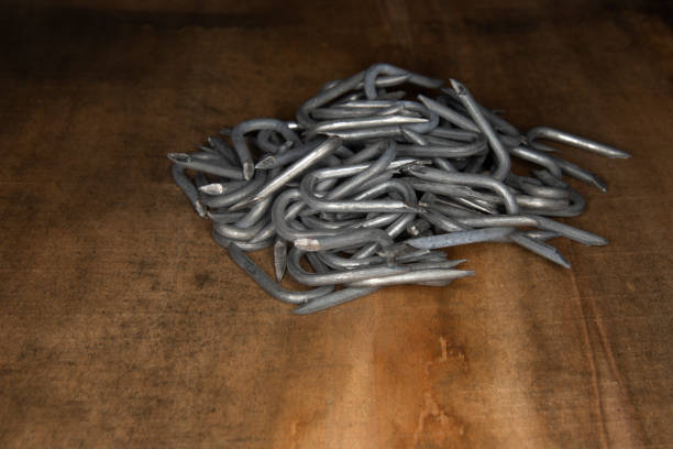 heavy barbed wire staples used for attaching wire to post or other wood surface creating a boarder or background