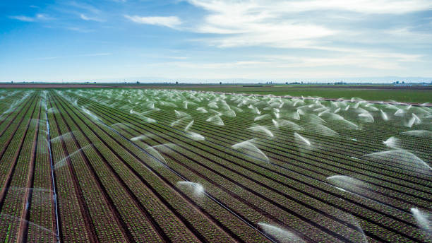 istock Crops Being Watered in South Eastern California During Drought Conditions 1473307966