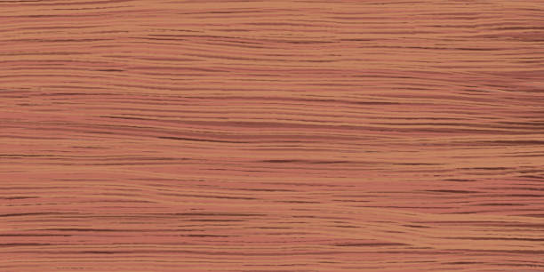 ilustraciones, imágenes clip art, dibujos animados e iconos de stock de textura de grano de madera de roble rojo - walnut wood backgrounds dark