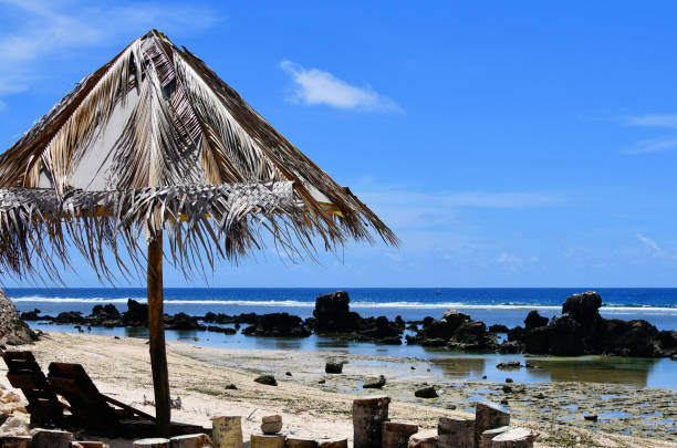 Bati Beach, Meneng District, Nauru: parasol and lounge chairs - long beach with eroded coral limestone pinnacles on the shallow water - Pacific Ocean horizon