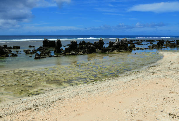 Meneng District, Nauru: eroded coral limestone pinnacles on the shallow water - rock formations along Bati Beach - Pacific Ocean horizon