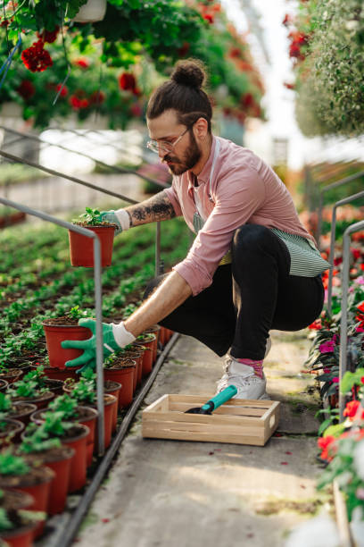 istock Man gardener working in a greenhouse 1473316106