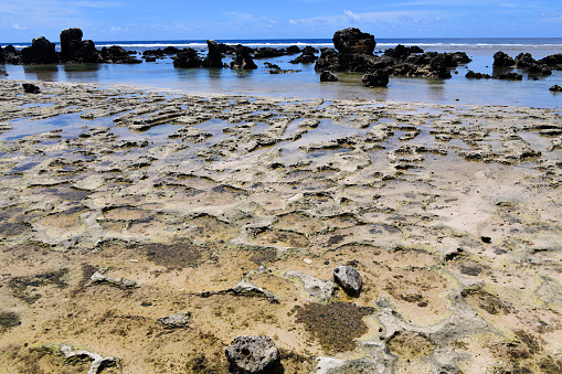 Meneng District, Nauru: eroded coral limestone pinnacles on the shallow water - rock formations along Bati Beach - Pacific Ocean horizon