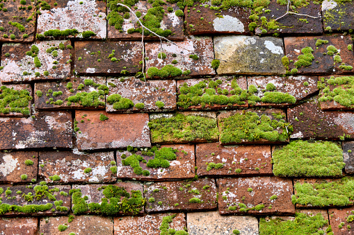 Close up of old terracotta roof tiles broken and covered with moss