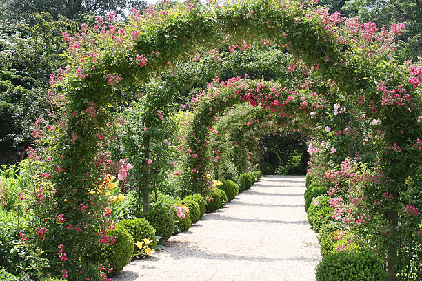 istock Rose Arch In the Garden 147332246