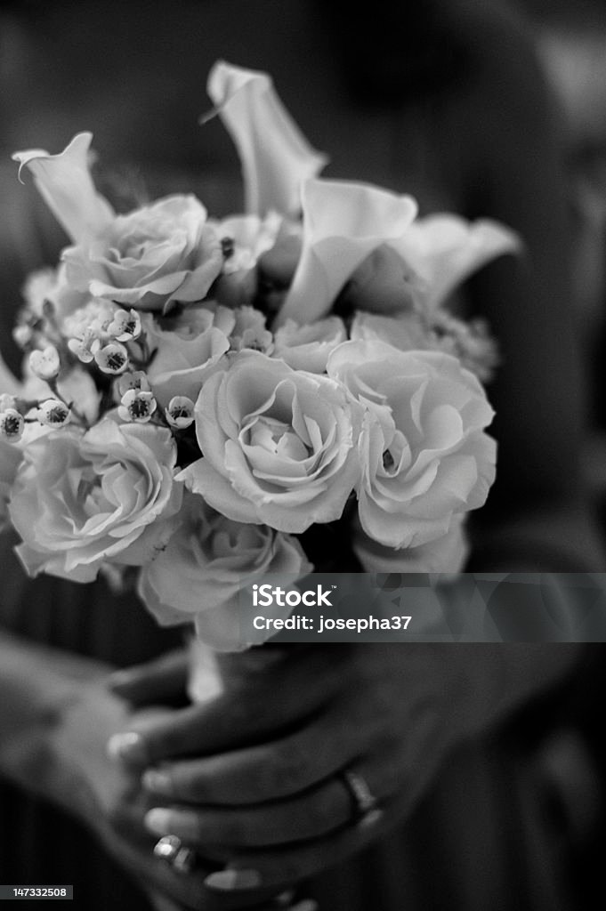 Ślub kwiaty - Zbiór zdjęć royalty-free (Aranżacja)