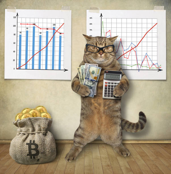 istock Cat shows how to make money 1473328863